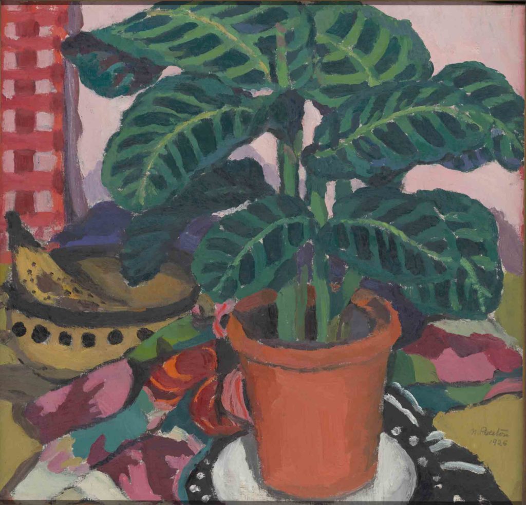 Margaret PRESTON Born: Port Adelaide, South Australia, Australia 1875; Died: 1963; Worked in Europe early 1900s The potted plant 1925 oil on canvas, 42.2 x 43.7 cm Benalla Art Gallery Collection Ledger Gift, 1975 1975.02 © Estate of Margaret Preston/ Copyright Agency 2019